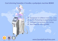 4 de Machine van het Verliescryolipolysis van het handvatgewicht/de Vette het Bevriezen Vacuümmachine van het Cavitatievermageringsdieet