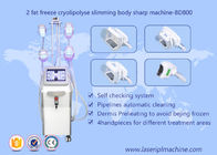 Het Vermageringsdieetmachine van Cryolipolysis van het vormlichaam, de Schoonheidsmateriaal van Lipo Cryo Cryolipolysis
